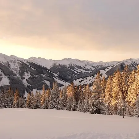 Seig-hochalm Am Bernkogel Apartamento Saalbach-Hinterglemm