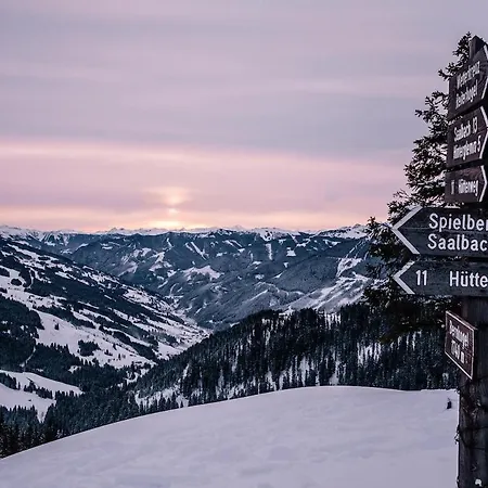 Apartamento Seig-hochalm Am Bernkogel Saalbach-Hinterglemm
