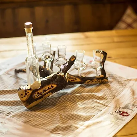 Seig-hochalm Am Bernkogel Apartamento Saalbach-Hinterglemm